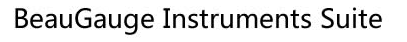 Cúpon BeauGauge Software